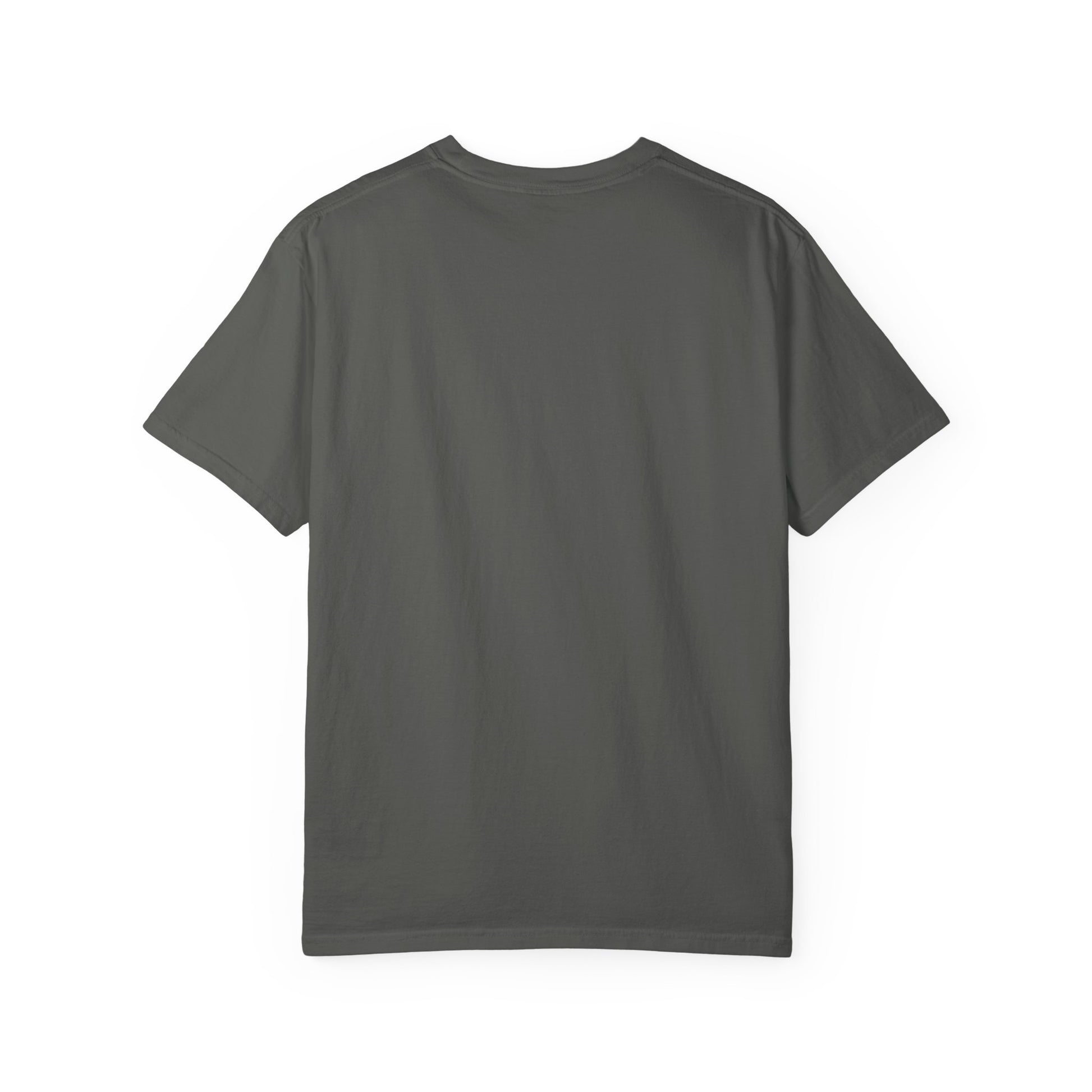 Charcoal grey Comfort Colors t-shirt, plain back view - Ghost Teacher Shirt by The Teechers Thread